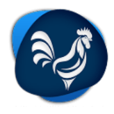 Logo footer